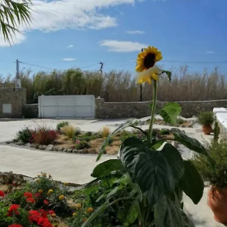 Desire Mykonos Apartament *